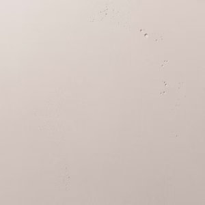 Płyta akrylowa RAUVISIO Boxcar Blonde - 2725L