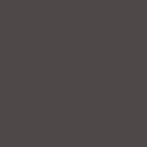 Płyta akrylowa RAUVISIO Pepper Grey - 2736L