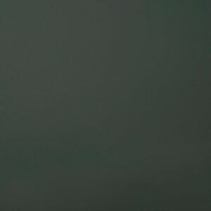 Płyta akrylowa RAUVISIO Olive Detour - 3141L